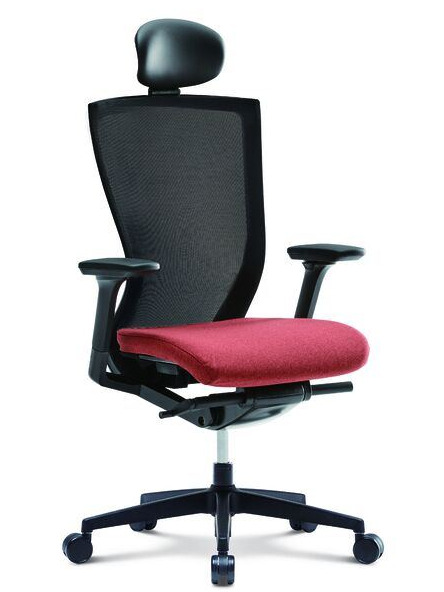 CHA4300