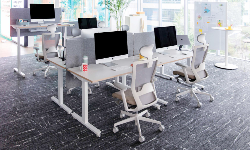 명불허전 퍼시스 스테디 셀러
